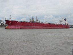 Louisiana_2007-2008-003